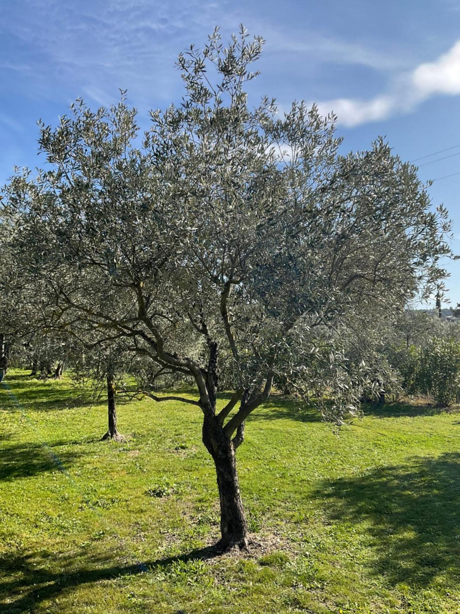 Provence Km28 Acomodação com café da manhã Gordes Exterior foto