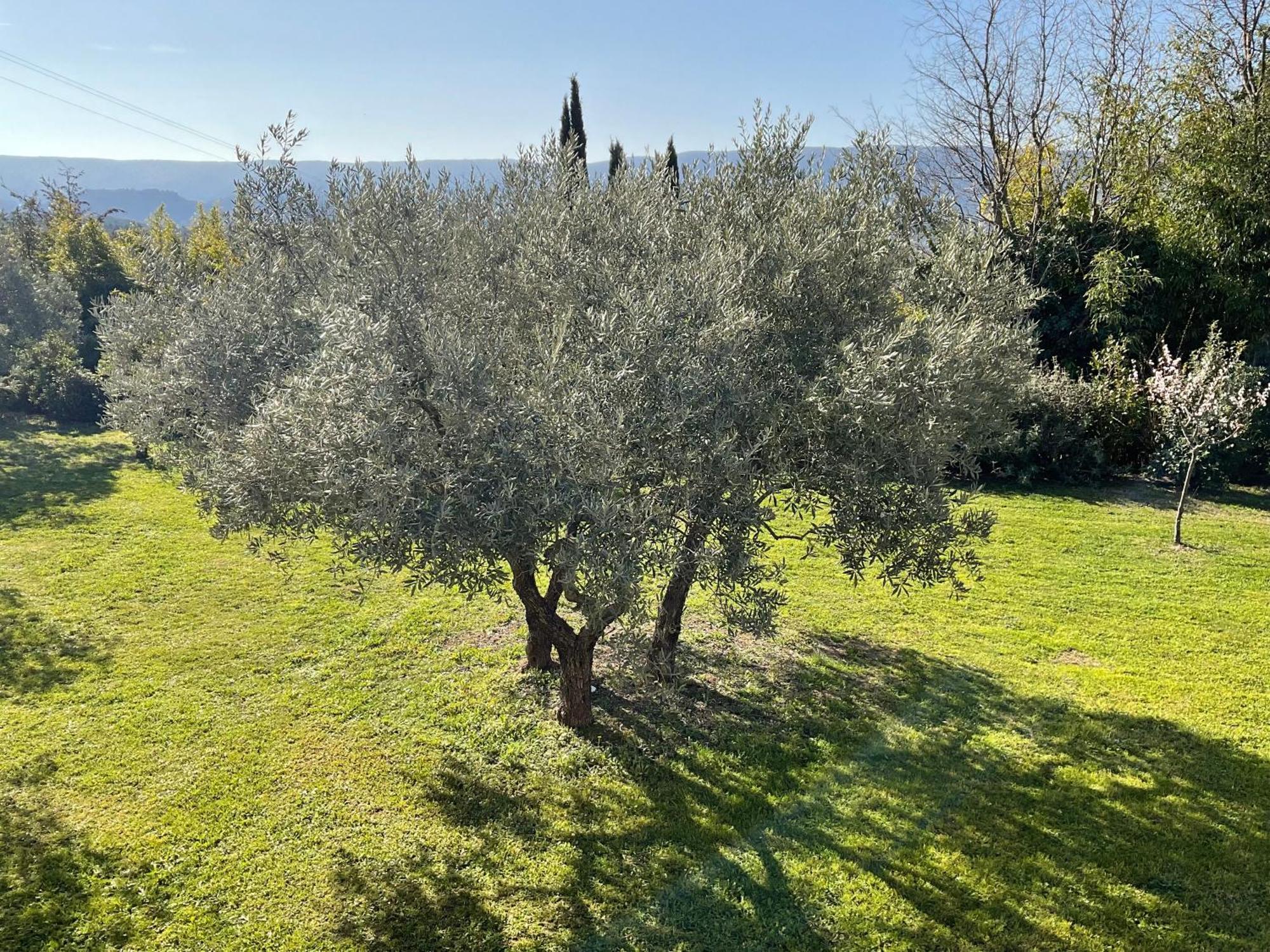 Provence Km28 Acomodação com café da manhã Gordes Exterior foto