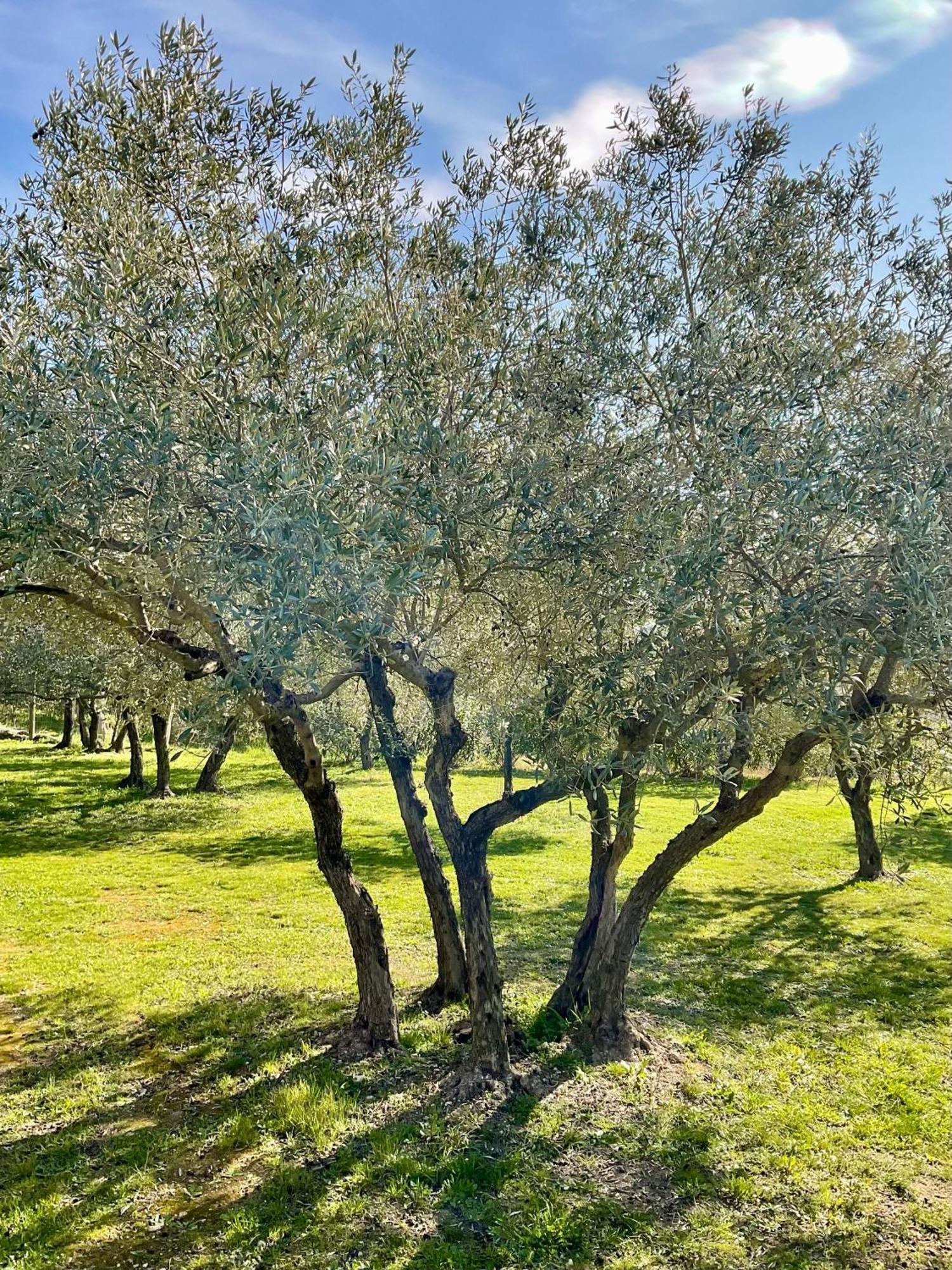 Provence Km28 Acomodação com café da manhã Gordes Exterior foto